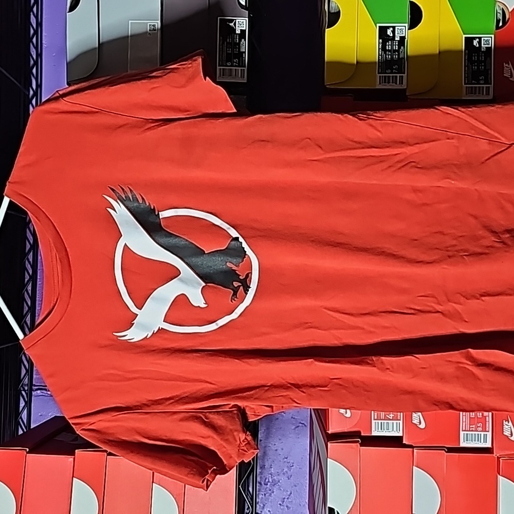 American eagle graphic tee